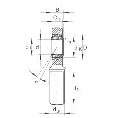 桿端軸承 GAL30-DO, 根據(jù) DIN ISO 12 240-4 標(biāo)準(zhǔn)，帶左旋外螺紋，需維護