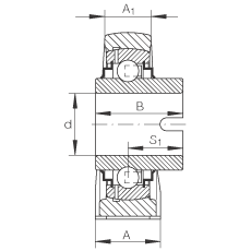 直立式軸承座單元 RASEL20-N, 鑄鐵軸承座，浮動(dòng)軸承，內(nèi)圈有驅(qū)動(dòng)槽，R 型密封